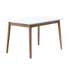 Gammelgab Dining Table 47x32