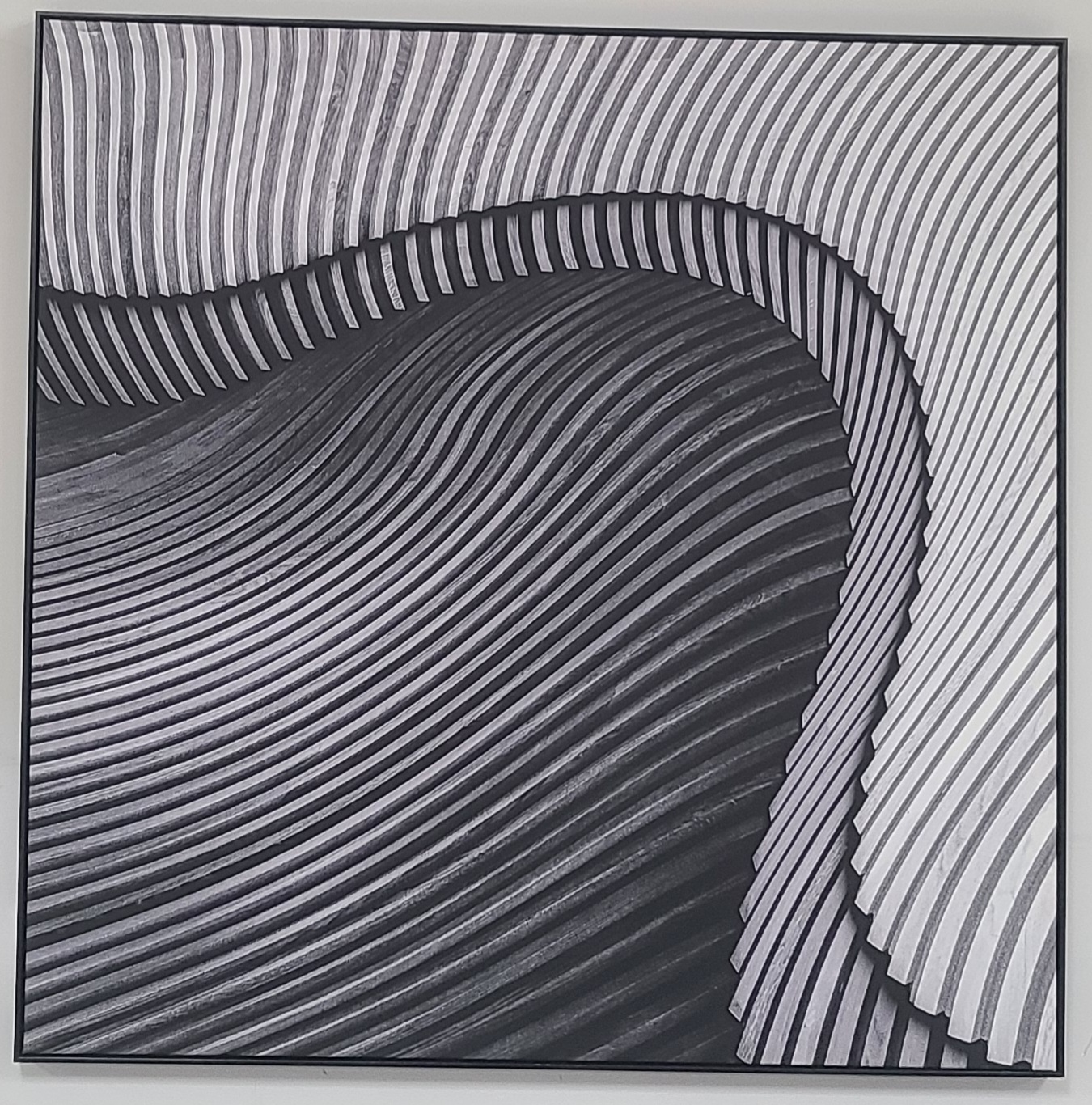 Black and White Hills 36x36
