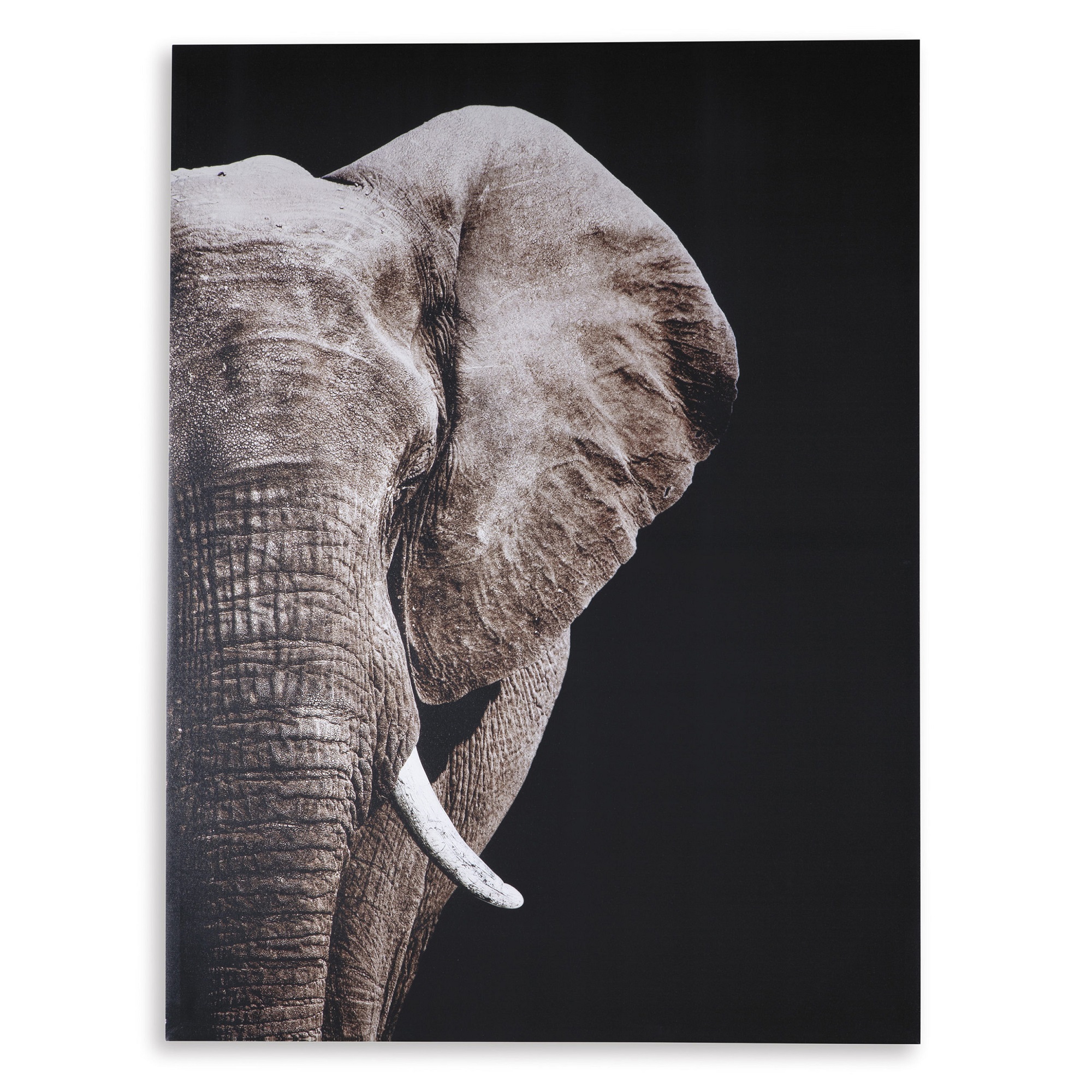 Jenday Elephant 36X48
