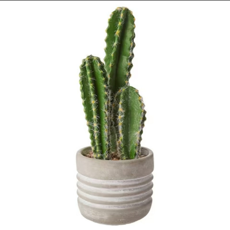 Faux Cactus