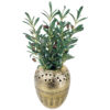 Gold Urn