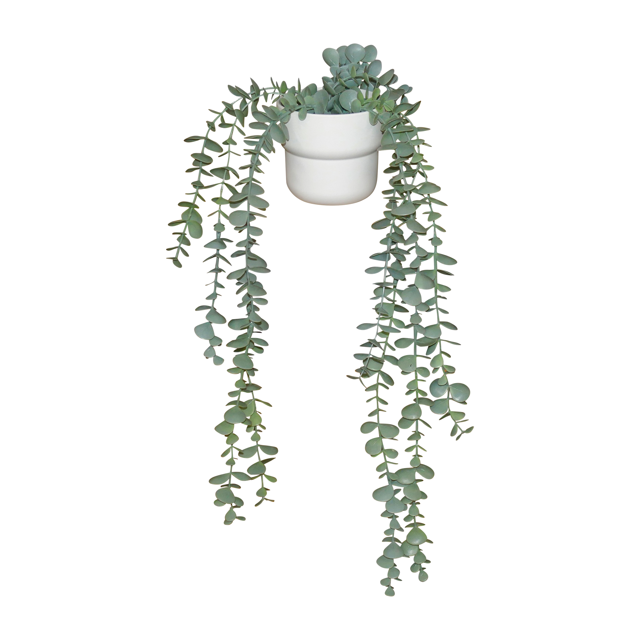 Small Plant 1