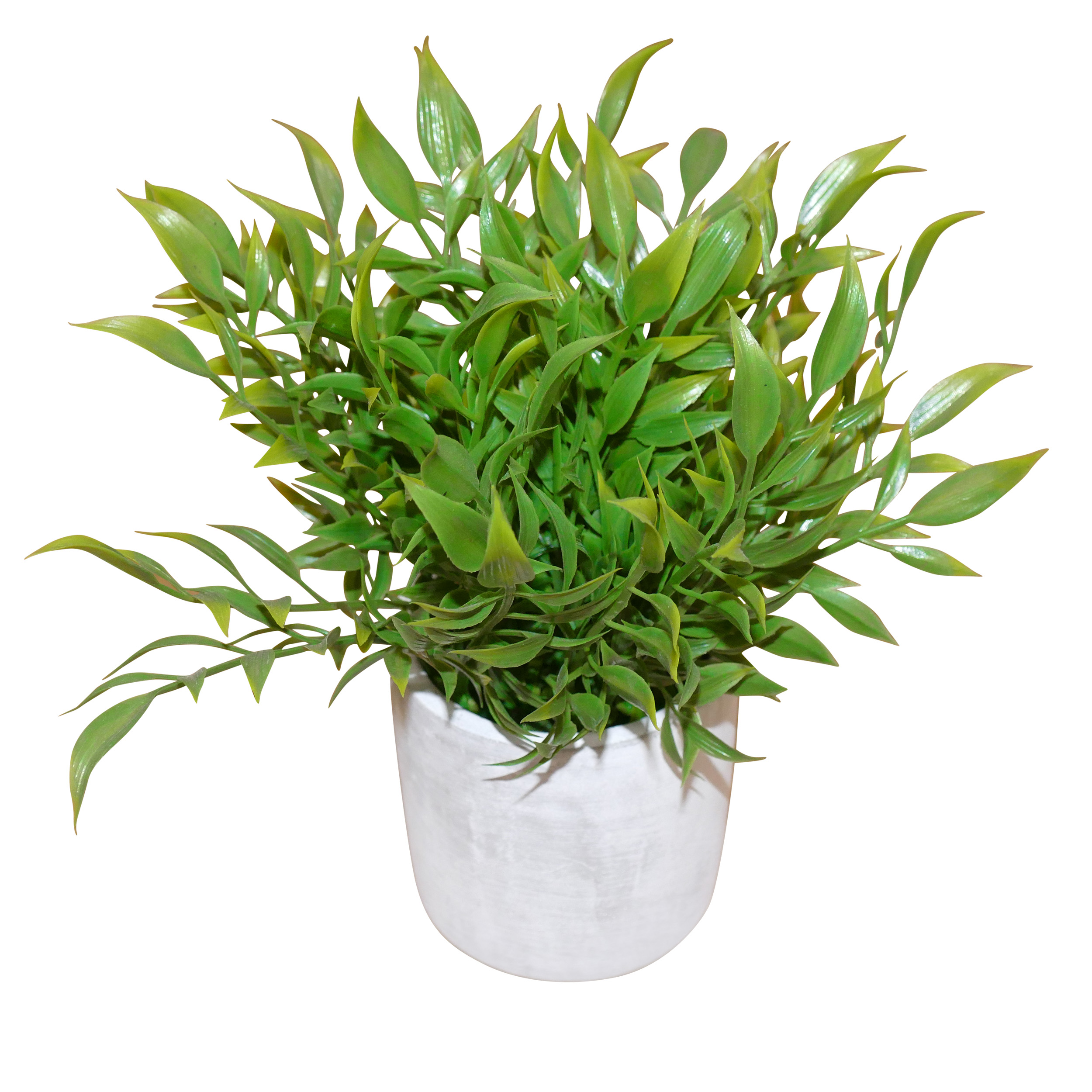 Small plant 2