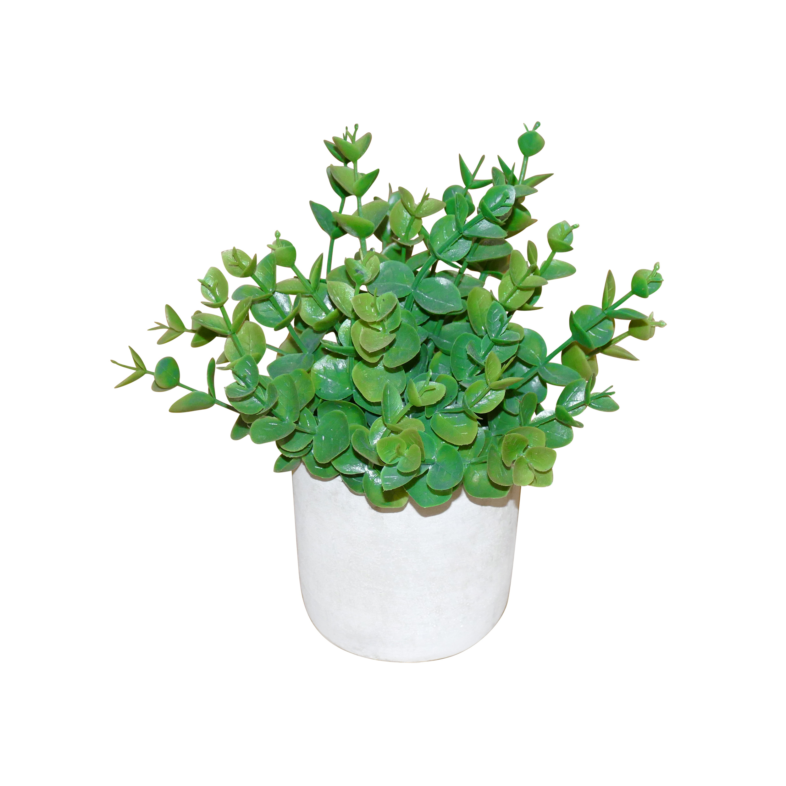 Small plant 4