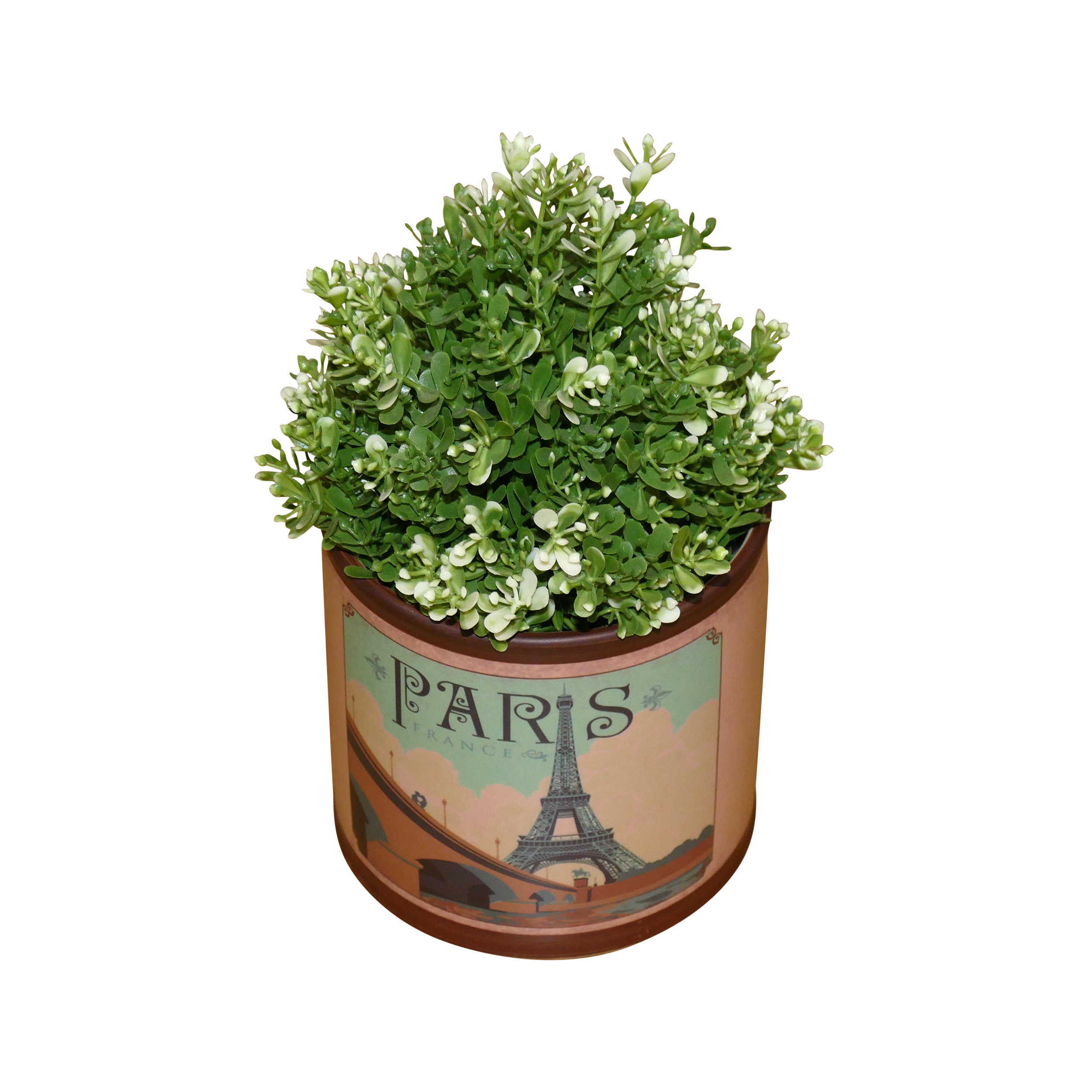 Small plant 3