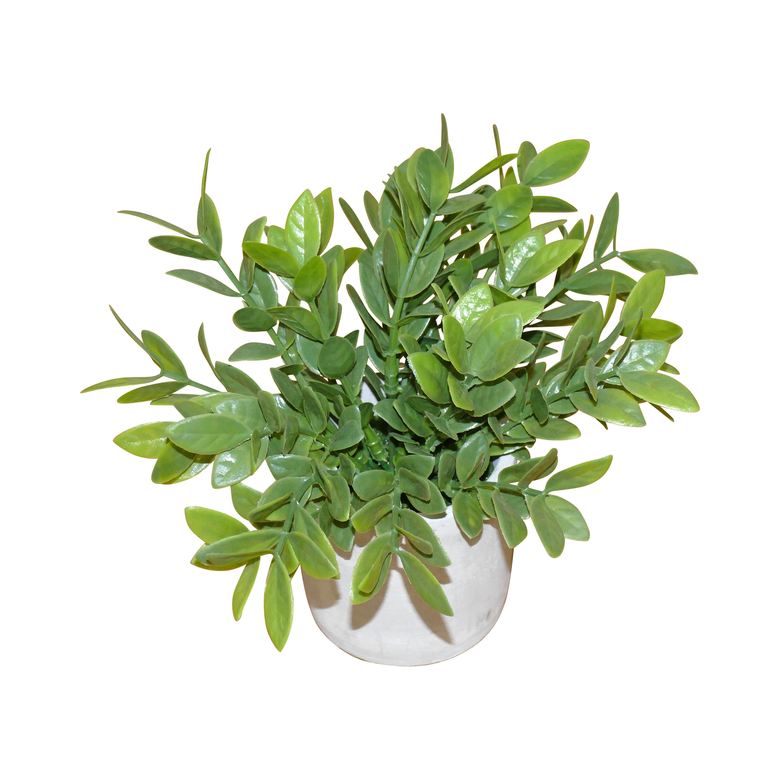 Small plant 7