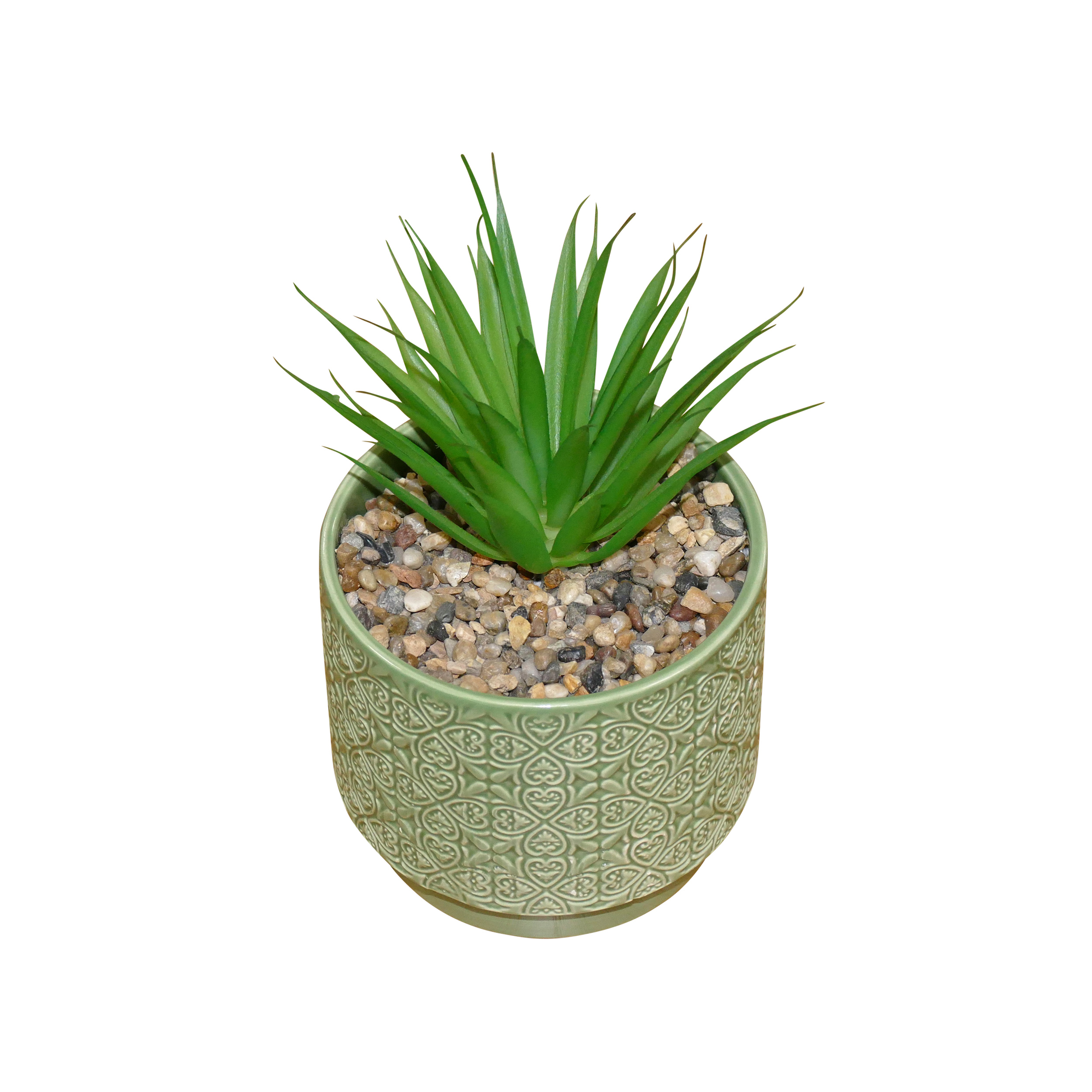 Small plant 6