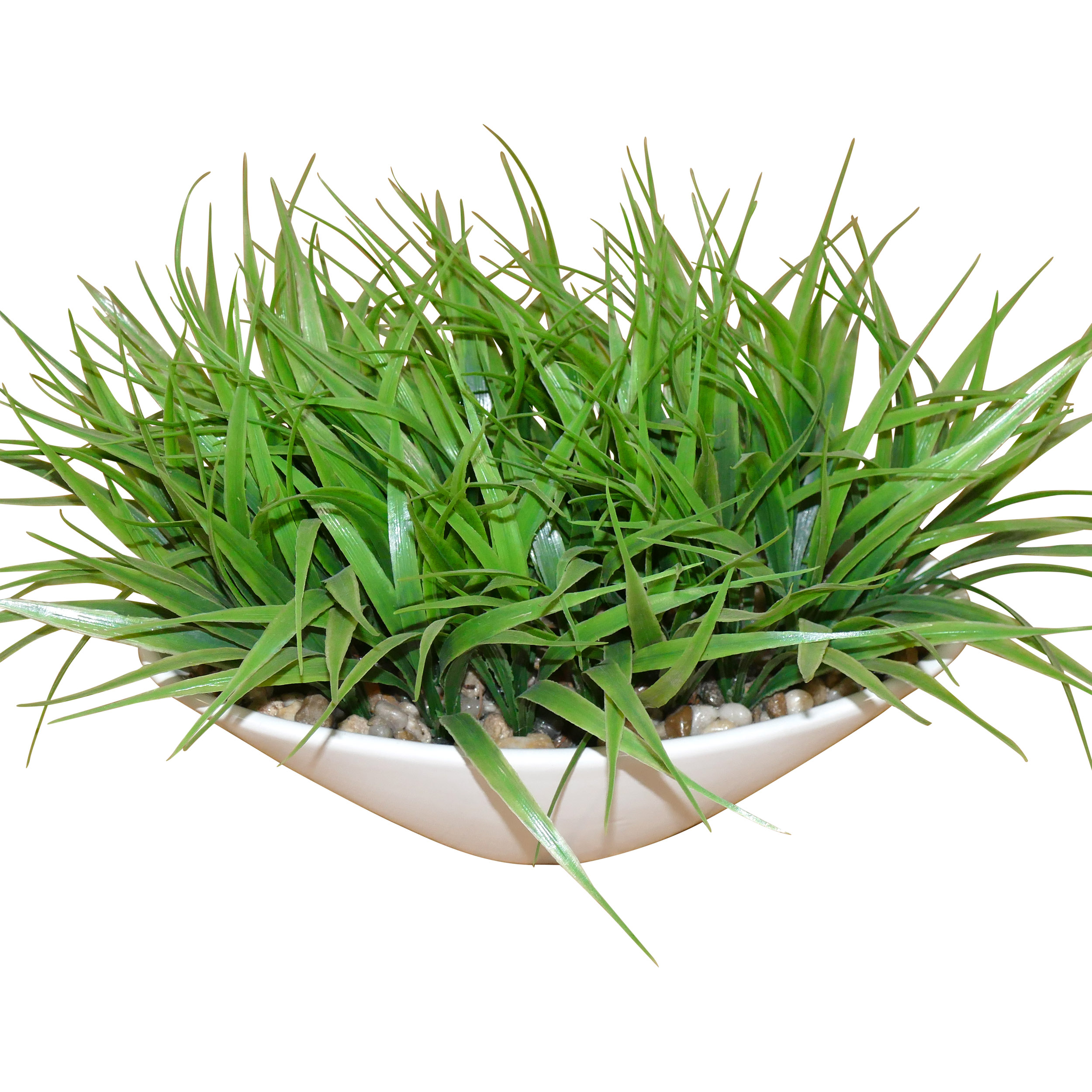 Small plant 9
