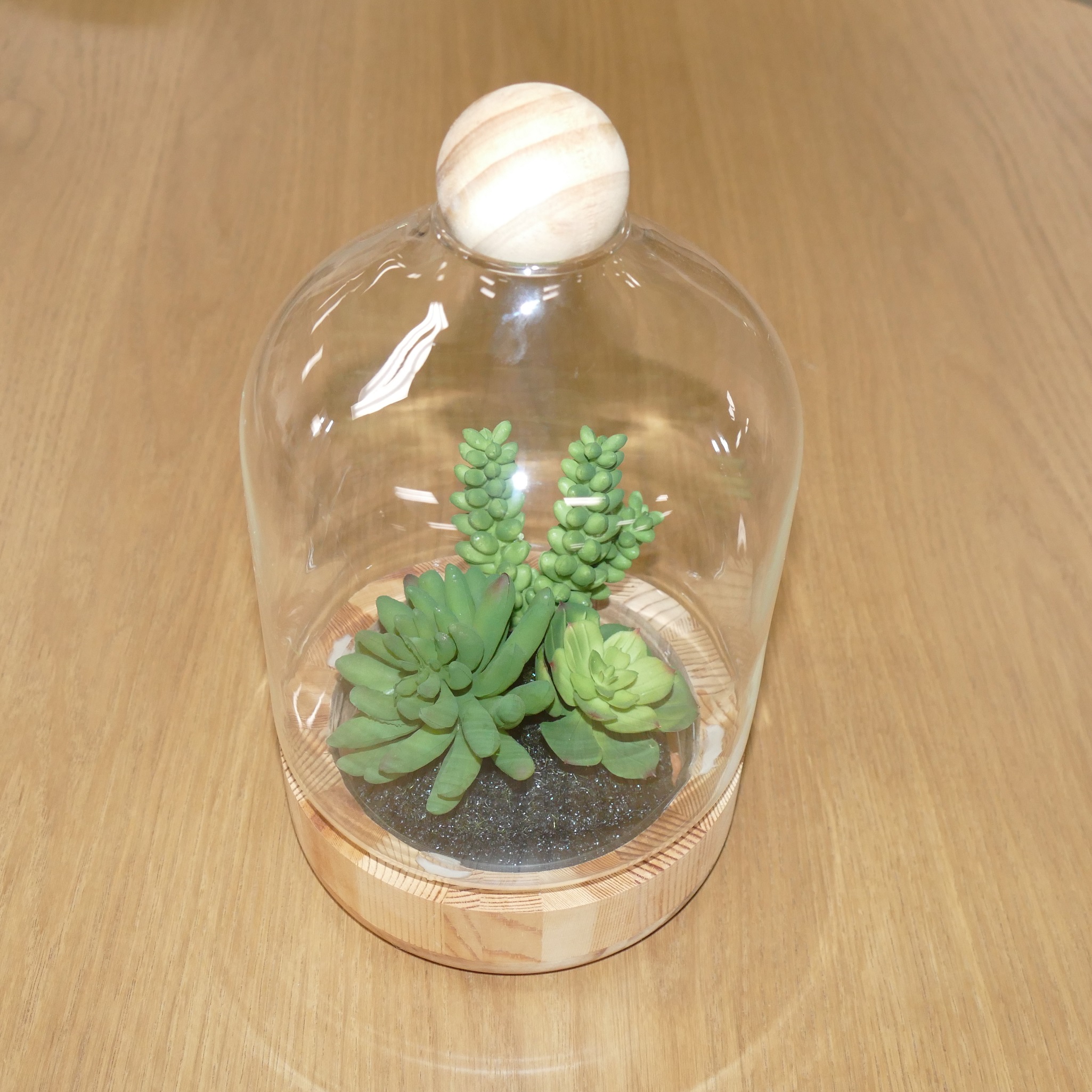 Cactus Dome Terrarium