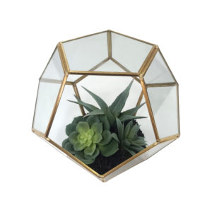 Cactus Glass Gold Terrarium