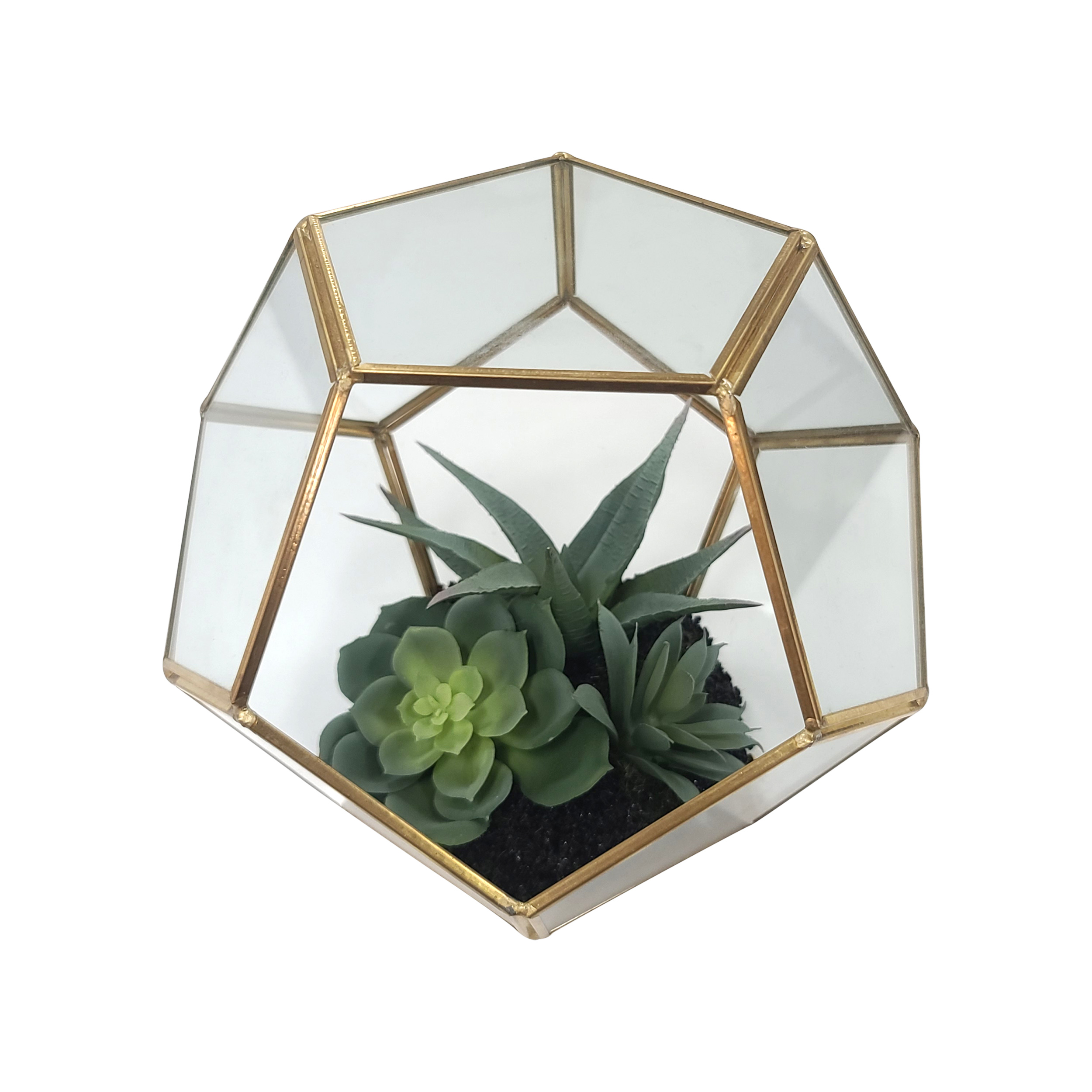 Cactus Glass Gold Terrarium