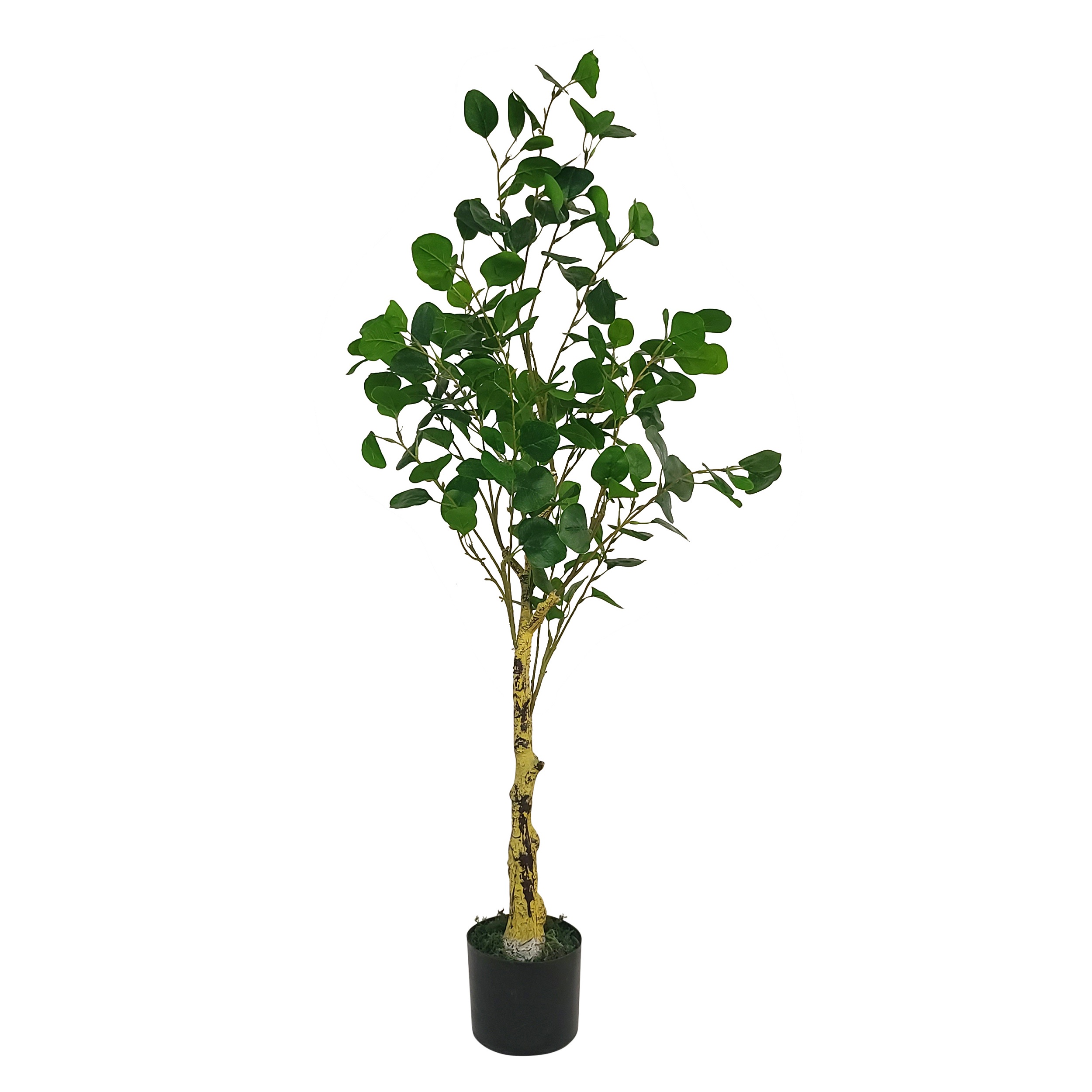 Faux Eucalyptus