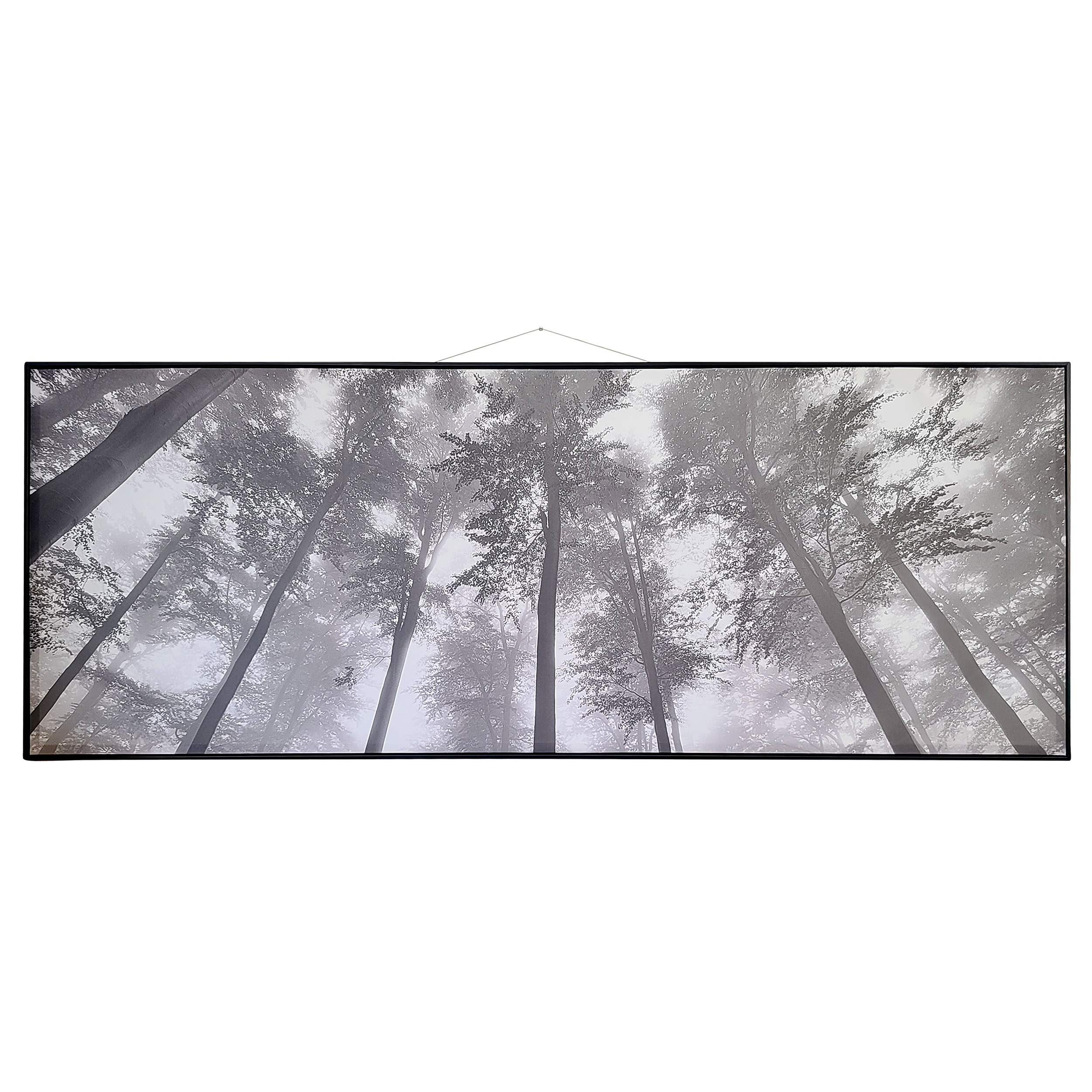 Tree Canopy Art 81x31