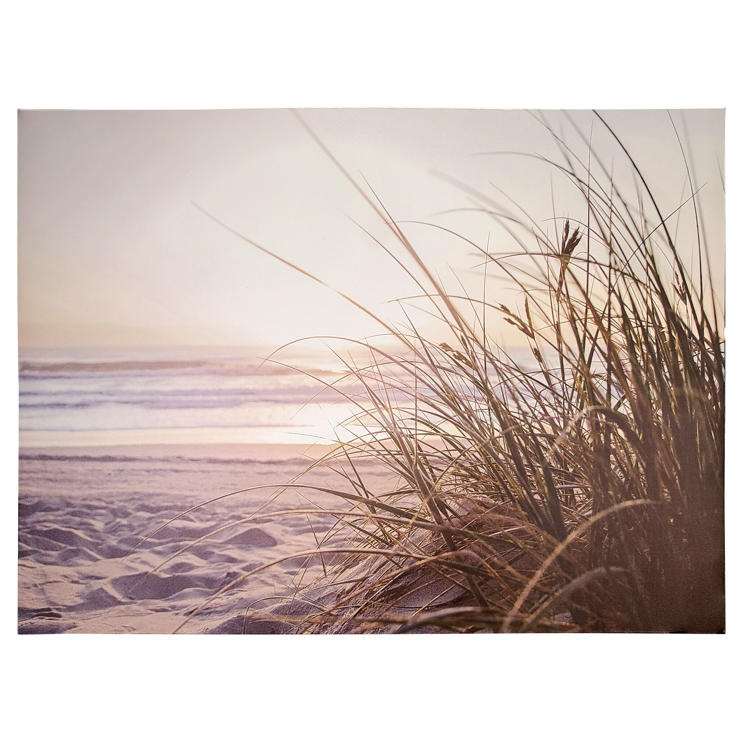 Beach Grass 31x24