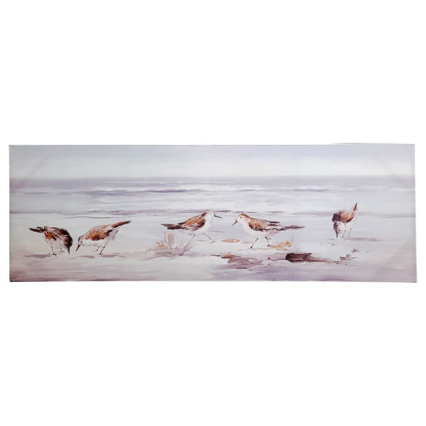 Sandpiper 47X16