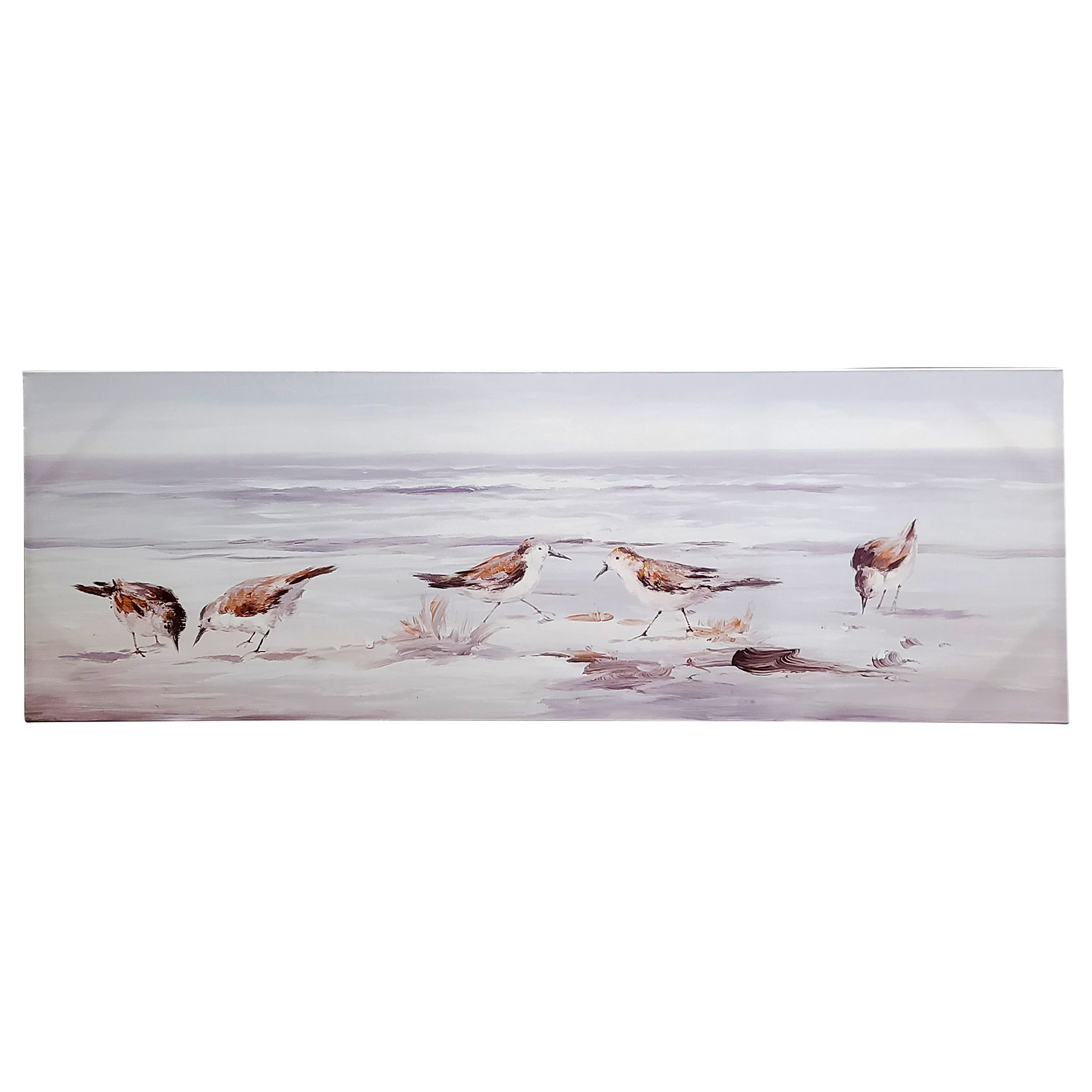 Sandpiper 47X16