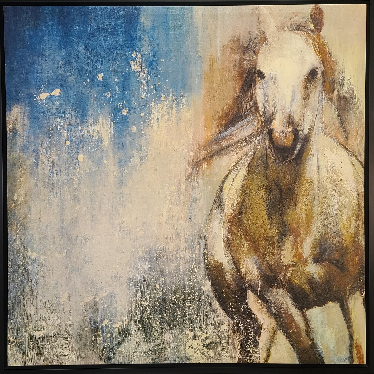 Splashing Horse 37x37