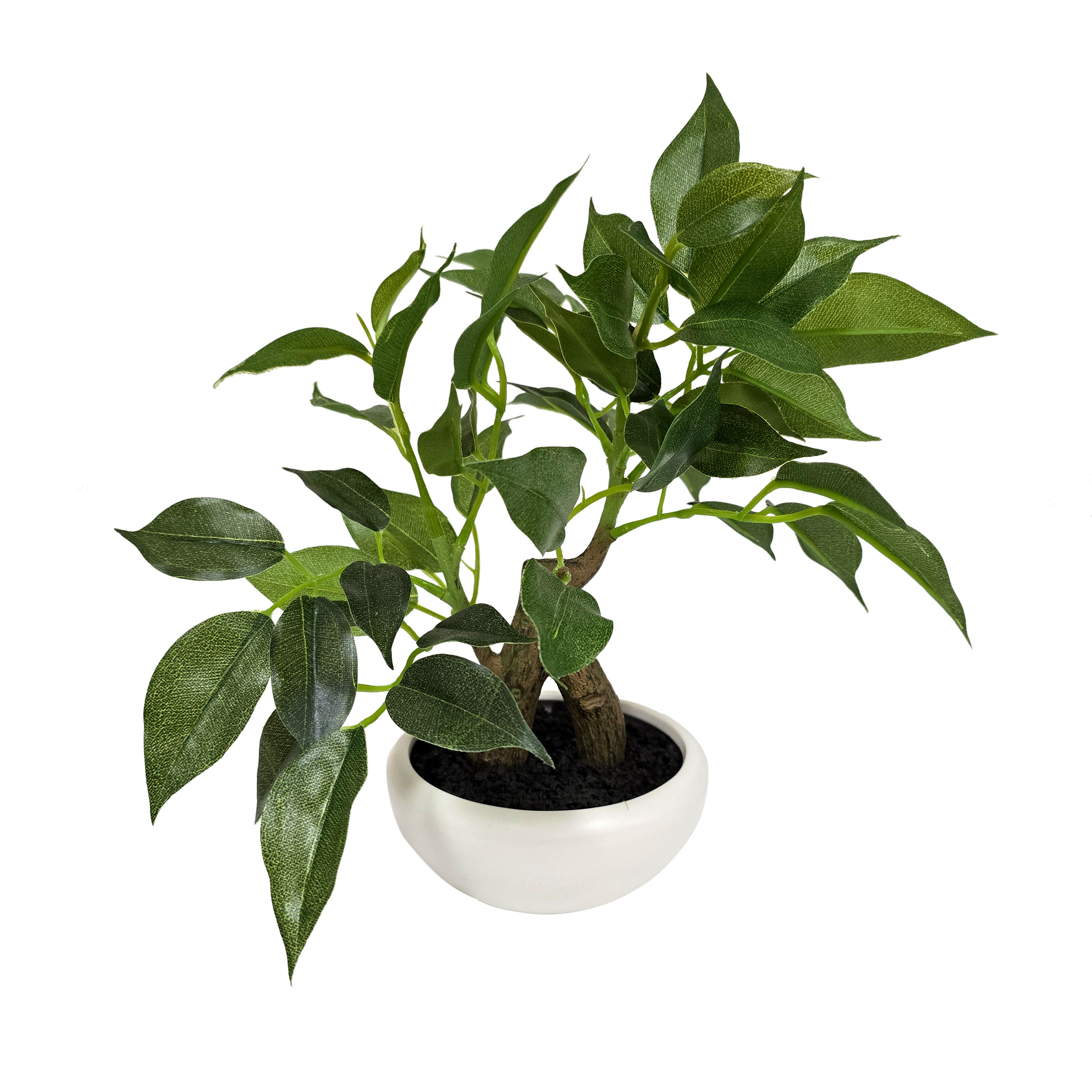 Bonsai Tree