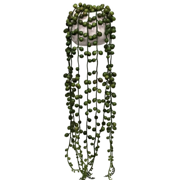 String of Pearls